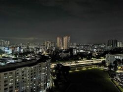 Neem Tree (D12), Apartment #522098241